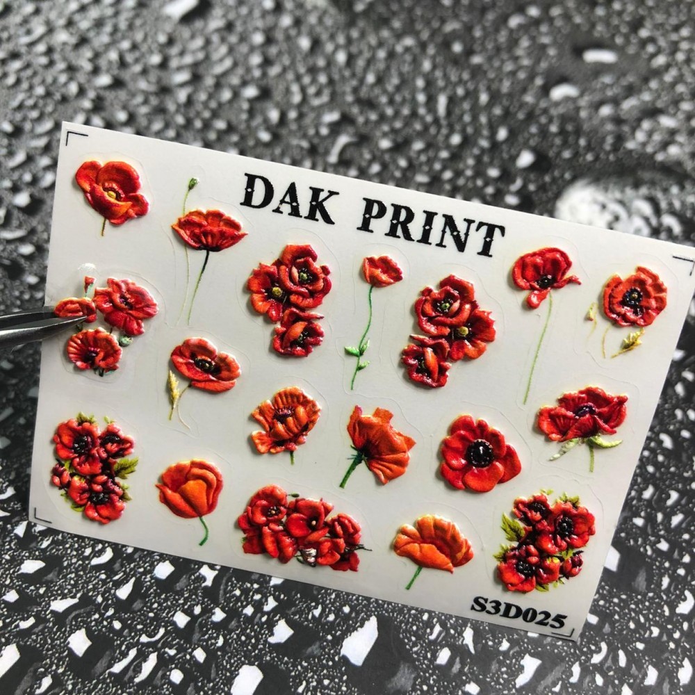 025-1000x1000